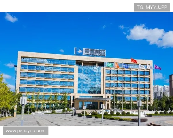 最新版本k8凯发天生赢家·一触即发全面解析，助你轻松应对各种挑战